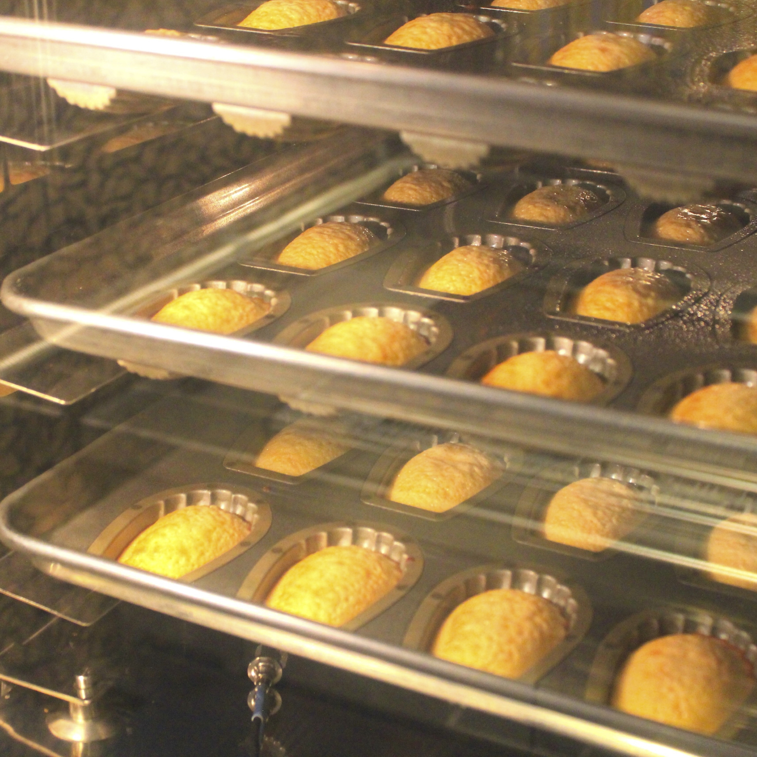 洋菓子ギフト『サントシャペル』