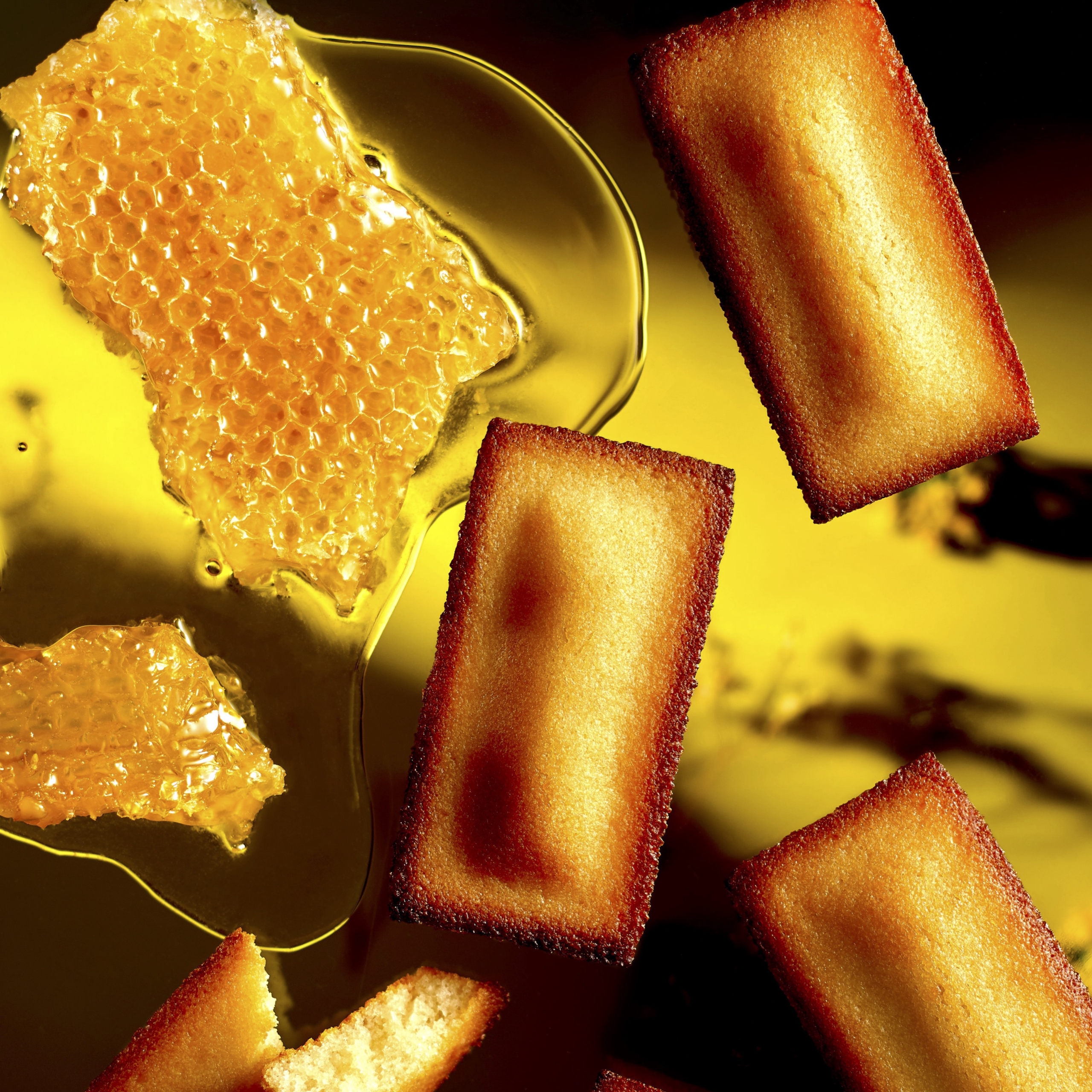 洋菓子ギフト『サントシャペル』