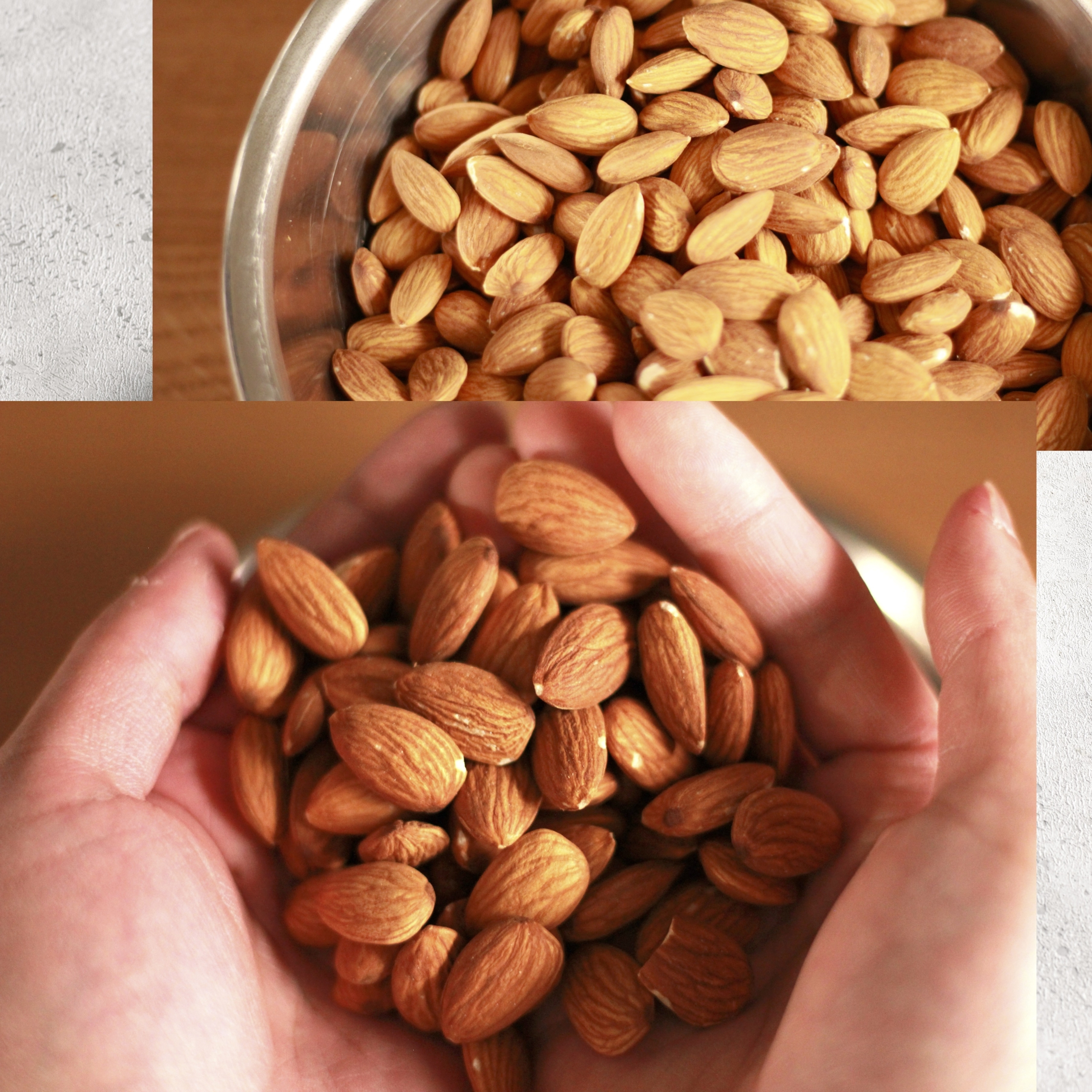 洋菓子ギフト『サントシャペル』